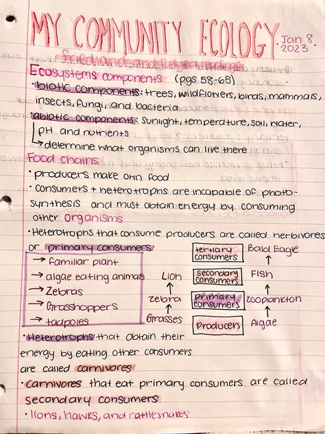 Ecology Notes Aesthetic, Living Environment Notes, Ecology Notes College, Ecology Study Notes, Ecology Notes, Zoology Notes, Environmental Science Notes, Ap Environmental Science Notes, Ecosystem Notes