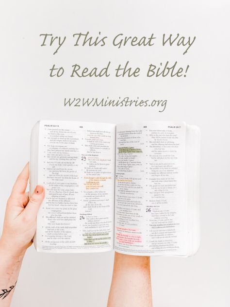 Best Way To Read The Whole Bible, Ways To Read The Bible, Bible Plans, Daily Bible Reading Plan, Woman To Woman, Titus 2, One Year Bible, John Macarthur, Read The Bible