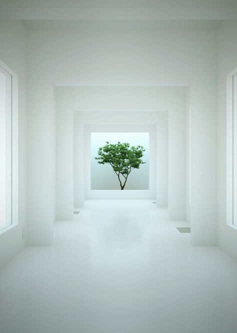 Indoor Tree, Minimal Architecture, White Interior Design, Modern Architects, Minimal Space, Patio Interior, Minimalist Interior Design, Design Minimalist, Minimalist Architecture