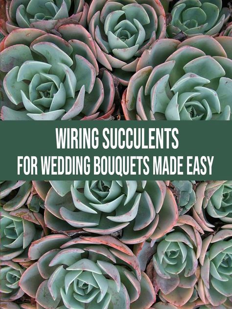 Wiring Succulents For Wedding Bouquets Made Easy Diy Succulent Wedding Bouquet, Succulent Wedding Bouquet, Succulent Bouquet Wedding, Buy Succulents, Succulent Bouquet, Extreme Makeover, Succulent Wedding, Diy Wedding Flowers, Flower Care