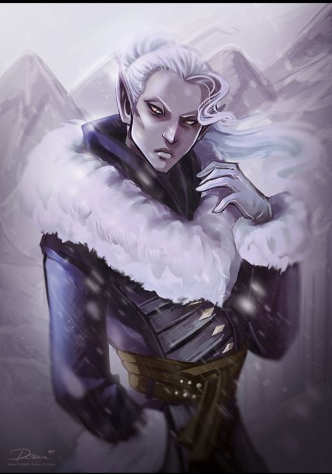 Snow Elves, Ice Mage, Snow Elf, D D Races, Elves Fantasy, D D Items, Fantasy Portraits, Fantasy Races, Dungeons And Dragons Characters