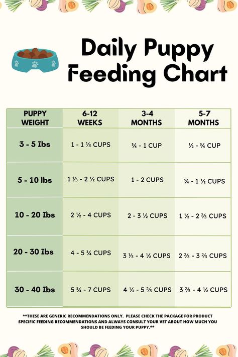 Puppy Food Amount Chart, What To Feed Puppies, Puppy Eating Schedule, Puppy Diet Plan, How Much To Feed A Puppy, Puppy Food Toppers, Puppy Training Schedule By Age, Puppy Feeding Chart, Puppy Feeding Guide