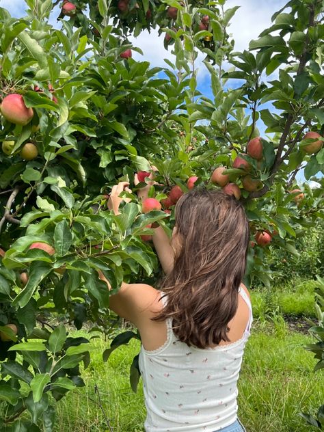 #cottagecore #applepicking #dreamlife #summeroutfit #hair #highlights #dreamsummer #visionboard Picking Fruits Aesthetic, Fruit Picking Outfit Summer, Peach Picking Photoshoot, Fruit Picking Aesthetic, Fruit Picking Outfit, Film Nature, Objectification Of Women, Summer Board, Strawberry Picking