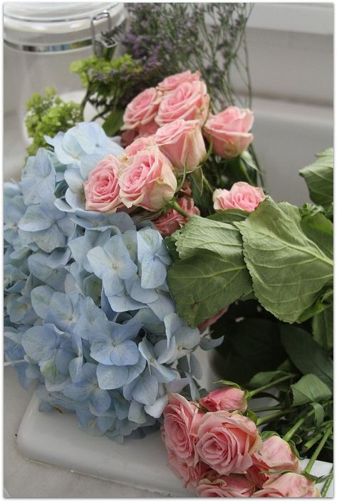 Shabby Flowers, Pink And Blue Flowers, Romantic Flowers, Blue Hydrangea, Flower Beauty, Beautiful Blooms, Vintage Roses, Summer Flowers, Love Flowers