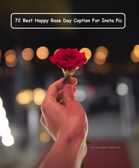 72 Best Happy Rose Day Caption For Insta Pic Flower Captions, Flower Captions For Instagram, Captions For Instagram, Red Rose, Roses, Red, Instagram