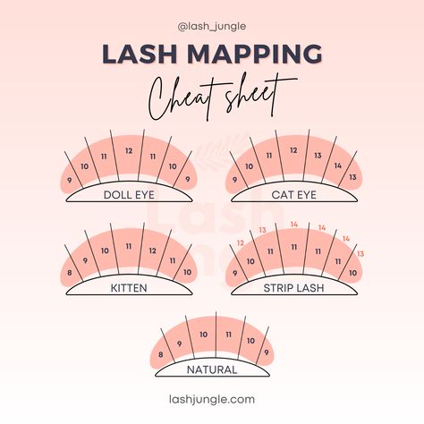 Whether you are just starting out or have been a professional lash artist for years, lash mapping will always provide you with the perfect guide to help you create the most beautiful lash set for your client! 👌 Here are our top 5 lash styles – doll, cat, kitten, strip lash (aka. wispy or Kim K), and natural. Which one is your favourite? 💘 😉 Found this post helpful? Save and share this with your lash besties! Lash Mapping Guide, Beginner Classic Lash Map, Individual Lash Mapping, Beginner Lash Map, Strip Lash Map, How To Start Esthetician Business, Wispy Set Lash Map, Lash Number Guide, Classic Lash Extensions Styles Map