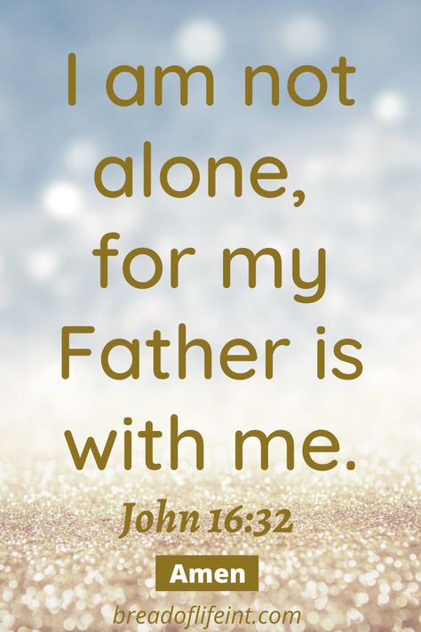 Today Bible Verse In English, John Bible Verses, Faithfully Journey, Positive Bible Verses, Godly Character, Great Bible Verses, Bible Verse For Today, Promise Keeper, Bible 2