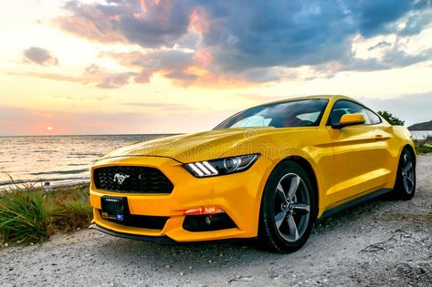 Yellow Mustang, Digital Design Trends, Ford Mustang Coupe, Mustang Gt500, Car Goals, Cool Sports Cars, Going Out Of Business, Ford Expedition, Car Ford