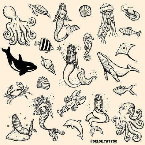 sea life flash available now yay 🧜‍♀️ 🐋 🐚 🦞 🐠🪼🦐🦀🐙 there’s still so many sea life creatures I want to draw 😭 I want to draw seals, sharks, more more more jellyfish. what else should I draw if I do another sea life flash? message me to enquire about your tattoo idea! I have space next week to tattoo :) all designs available for handpoke all my flash is repeatable #sealifeflash #oceanflash #mermaidtattoo #whaletattoo #octopustattoo #handpokedtattoo #essextattoo #hertfordshiretattoo #suffolkta... Sea Life Tattoo, Sea Creature Tattoo, Seal Drawing, Sea Life Tattoos, Seal Tattoo, Sea Life Creatures, Whale Tattoos, Ocean Tattoos, Shark Tattoos