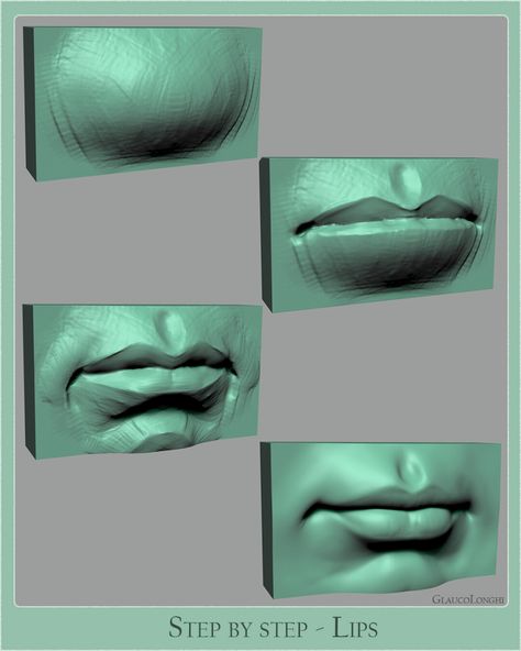 Anatomy Simplified, Anatomy Woman, Mouth Anatomy, Zbrush Anatomy, Head Anatomy, Facial Anatomy, Sculpting Tutorials, Face Anatomy, Zbrush Tutorial