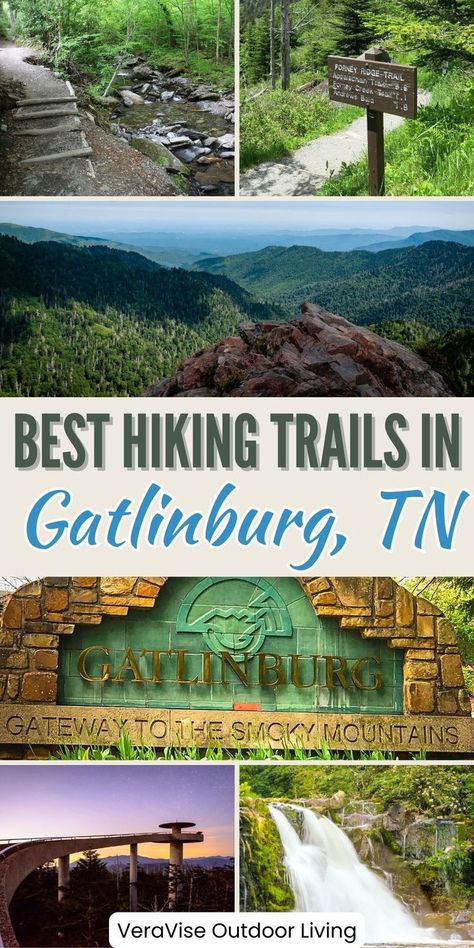 Best Hikes In Gatlinburg, TN Hikes In Gatlinburg Tn, Tennessee Vacation Outfits, Kentucky Hiking, Gatlinburg Tennessee Vacation, Smokey Mountains Vacation, Gatlinburg Vacation, Mountains Vacation, Gatlinburg Pigeon Forge, Rainbow Falls