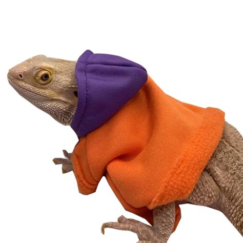 Bearded Dragon Costume for Lizards Warm Hoodie Coat Reptiles Small Pet Apparel Outfits Clothes for Dragon Clothes, Bearded Dragon Clothes, Blue Hats, Dragon Costume, Pet Dragon, Purple Hats, Hoodie Coat, Bearded Dragon, Blue Hat