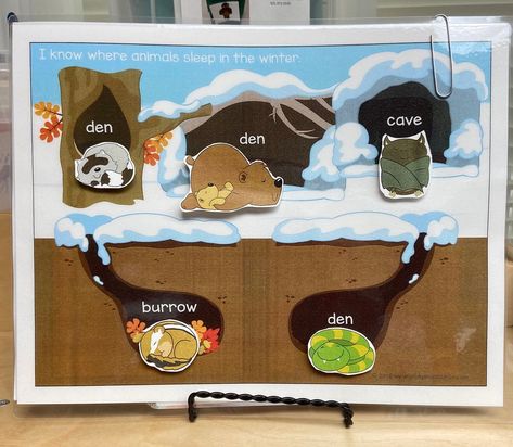 Find great ideas for a hibernation lesson at Child Care Aware Hibernating Animals Preschool, Hibernation Preschool Crafts, Hibernation Preschool Activities, Hibernation Preschool, Hibernation Activities, Animals That Hibernate, Homeschool Nature Study, Winter Activities Preschool, Winter Play