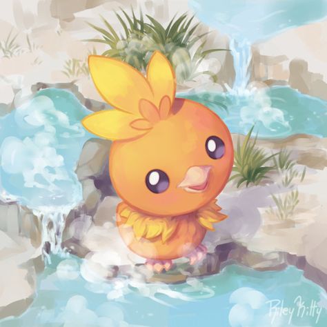 Torchic Pokemon, Fire Type Pokémon, Starter Pokemon, Bird Pokemon, Pokemon Ideas, Pokemon Painting, Pokemon Official, Pokemon Starters, Wild Pokemon