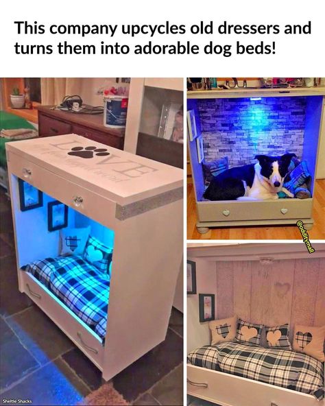 Indoor Dog House Diy, Dog Bed Diy, Cute Dog Beds, Indoor Dog House, Bed Dresser, Space Animals, Pet Spaces, Dog House Diy, Diy Dog Bed