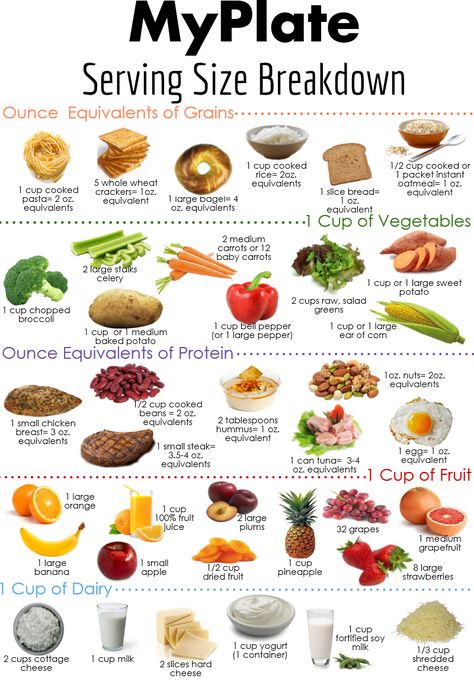 What counts as a serving of fruit? Or an ounce equivalent of grains? Find out more here! Healthy Desayunos, My Plate, Body Wrap, Idee Pasto Sano, No Carb Diets, Detox Drinks, Nutritious Meals, Serving Size, Low Carb Diet