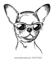 Dog Simple Drawing, Chihuahua Black, Chihuahua Drawing, Chihuahua Quotes, Black Chihuahua, Image Dog, Chihuahua Art, Clip Art Free, Free Clipart Images