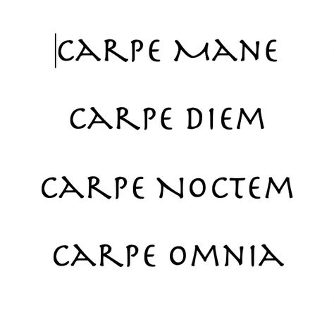 Seize the morning, day, night - seize it all. Seize The Night Tattoo, Nuke Tattoo, Through Every Dark Night Tattoo, Seize The Day Tattoo, No. 6 Nezumi, Night Tattoo, Carpe Noctem, Tattoo 2024, Day Night