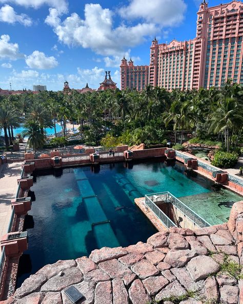 Escape to Atlantis Resort in the Bahamas! Looking for your next unforgettable getaway? Atlantis Bahamas offers the ultimate luxury vacation experience, where adventure meets relaxation in paradise. 🌊 Aquaventure Waterpark - Thrilling slides and lazy rivers for all ages! 🏝️ Private Beaches - Perfect for unwinding in the sun. 🐠 Marine Life Adventures - Explore the ocean’s wonders in the resort’s stunning aquarium. 🍽️ World-Class Dining - Savor gourmet cuisine from top chefs. 💦 Luxury Po... Atlantis Aquaventure, Atlantis Resort, Atlantis Bahamas, Waterpark, Top Chef, The Bahamas, Life Is An Adventure, Luxury Vacation, Atlantis