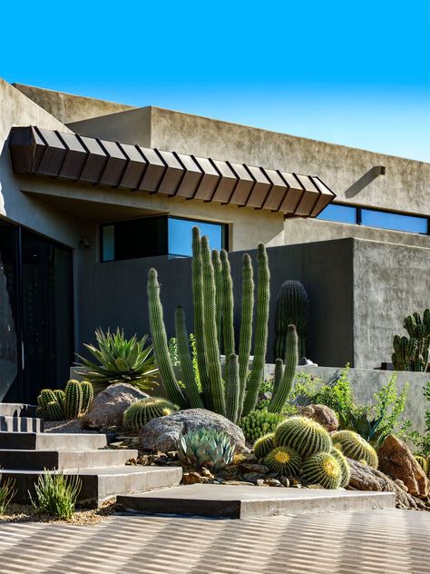 Desert Mountain Home Desert Plants Landscaping, Drought Tolerant Landscape Front Yard, Cactus Garden Design, Desert Landscape Design, Boulder Garden, Arizona Backyard, Front Lawn Landscaping, Drought Tolerant Garden, Succulent Garden Design