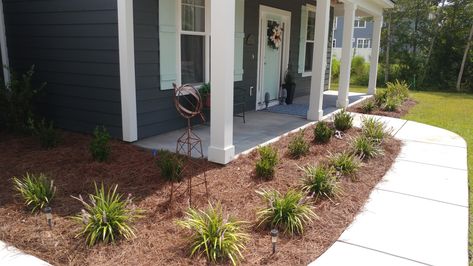 Pinestraw Flower Beds, Pine Straw Landscaping, Simple Flower Bed Ideas, Back Of House, Front Garden Landscape, Garden Landscape, Flower Bed, Pine Needles, Simple Flowers