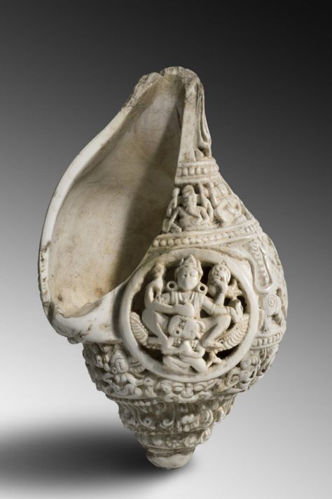 Shell carved with Vishnu and Elephants [996x1500] Water Vessel, Sacred Water, Art Coquillage, Hindu Rituals, Philadelphia Museum Of Art, Seashell Art, Carved Shell, 11th Century, Seashell Crafts