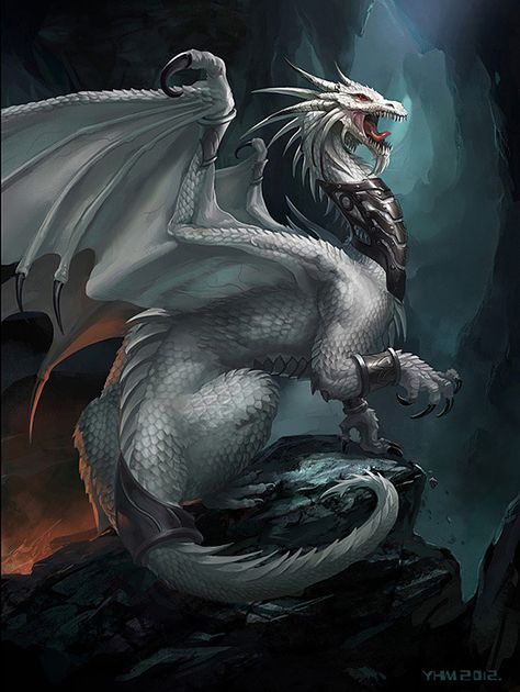 Albino Dragon | Illustration Art | The Design Inspiration Albino Dragon, Medieval Tattoo, Dragon Dreaming, Ice Dragon, Dragon's Lair, Dragon Images, Cool Dragons, Fairy Dragon, Dragon Illustration