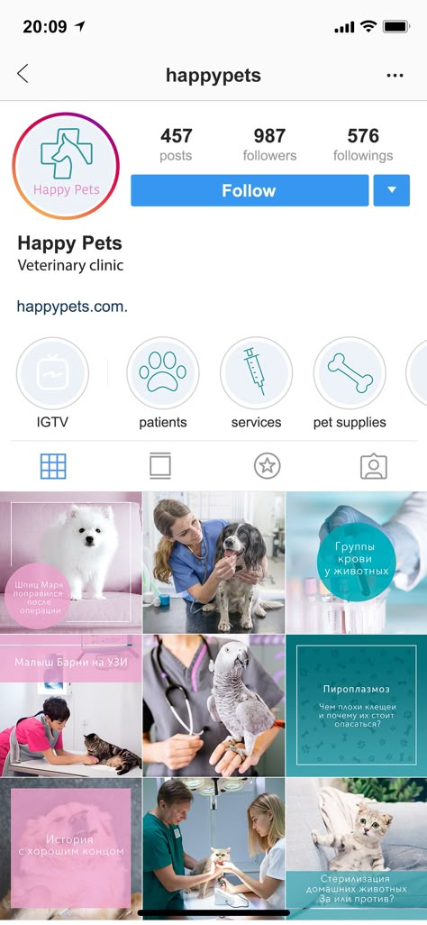 Vet Clinic Instagram, Vet Instagram Feed, Grid Web Design, Vet Clinic Design, Instagram Color Themes, Vet Design, Vet Life, Pet Branding, Instagram Design Layout