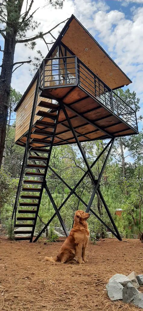 Glamping (Room) High 1, Pinochueco - Treehouses for Rent in Huasca de Ocampo, Hidalgo, Mexico - Airbnb Tree House Glamping, Elevated Houses, Mexico Airbnb, River Restaurant, Fire Tower, Treehouse Masters, Steel Building Homes, Framing Construction, Glamping Resorts