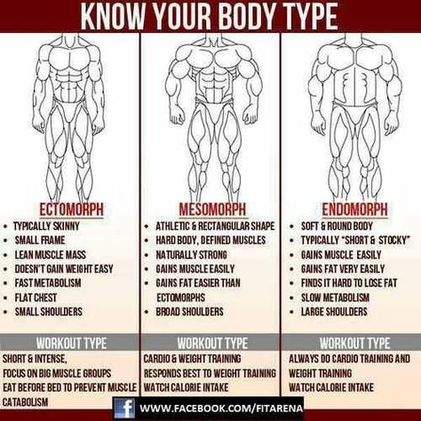 Im a Mesomorph... Supposedly that is the best body type...but I would rather be the skinny guy who can eat all day & not gain weight lol Workout Man, Transformation Fitness, Best Workout Routine, Muscle Abdominal, Ab Workout At Home, Hard Body, Fitness Challenge, Shoulder Workout, Muscle Mass