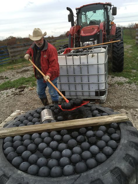 Cold Weather Tire Water Update - Eden Shale Farm Cattle Farming Ideas, Livestock Water Trough Ideas, Cow Mineral Feeder, Cow Farm Ideas, Cow Barn Ideas, Vegetable Cellar, Cattle Water Trough, Farming Hacks, Hobby Farms Layout