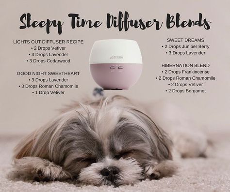 Sleepy Diffuser Blends Doterra, Doterra Bedtime Diffuser Blends, Dog Diffuser Blends, Doterra Night Time Diffuser Blends, Sleepy Time Diffuser Blend, Diffuser Blends For Dogs, Night Time Diffuser Blends, Doterra Dogs, Bedtime Diffuser Blends