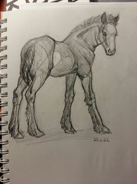 Horses To Draw, How To Draw A Horse, Cute Horse Drawing, Horses Sketch, 3d Doodles, Horse Draw, Horses Drawing, Horse Sketches, Notebook Drawings