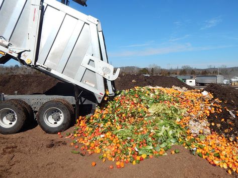 St Louis County, St Louis Zoo, Organic Waste, Waste Collection, Yard Waste, Recycling Center, Food Scraps, Good Neighbor, Composting