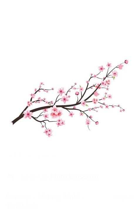 Cherry Blossom Tattoo Shoulder, Japanese Cherry Blossom Tattoo, Flower Tattoo Stencils, Bug Spray Recipe, Sakura Tattoo, Favorite Tattoos, Letter Tattoo, Blossom Tattoo, Cherry Blossom Tattoo