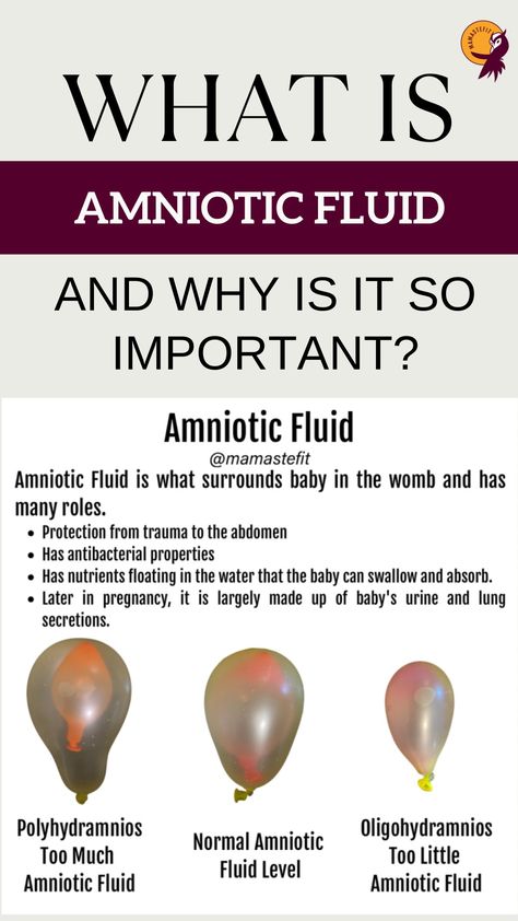 Fetal Circulation Flow Chart, Fluid Imbalances Nursing, Placental Abruption Nursing, Vulvar Varicosities Pregnancy, Bicornuate Uterus Pregnancy, Fetal Movement, Nursing Instructor, Pregnancy Facts, Amniotic Fluid