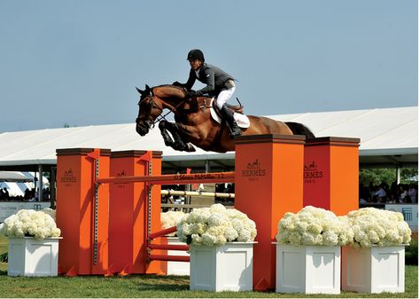 Hermes jump at a Hampton Classic. Love that color and the flower boxes. So pretty Horse Riding Aesthetic, Show Jumping Horses, Equestrian Events, Equestrian Aesthetic, Equestrian Chic, Beautiful Horse Pictures, Horse Show, Equestrian Sports, Horse Jumping