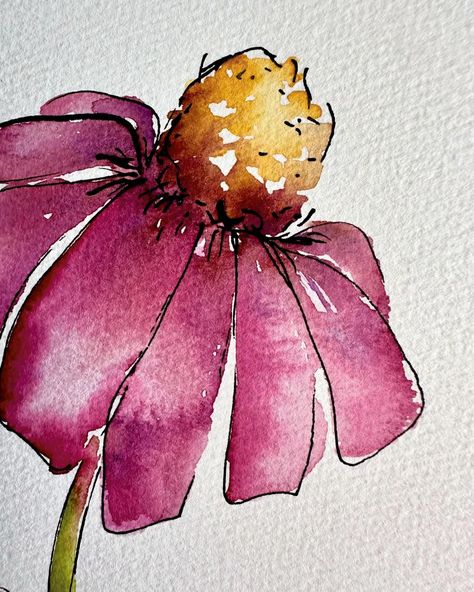 Megan Wren | Watercolor coneflowers. I first did the ink sketch then I painted the flowers. #watercolor #watercolorart #watercolorvideo #oklahomaartist… | Instagram Watercolor Coneflowers, Coneflower Tattoo, Wren Watercolor, Sketchbook Illustration, Watercolor Video, String Art Diy, Dragonfly Art, Watercolor Greeting Cards, Watercolor Sketchbook