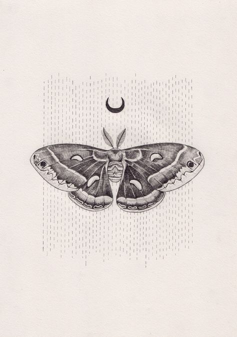 Peter Carrington Find beauty in small things, in things you're scared of. Borboleta Tattoo, Moth Drawing, Lunar Moth, Kunst Tattoos, Tattoos Geometric, Moth Tattoo, Skin Art, Moon Tattoo, A Drawing