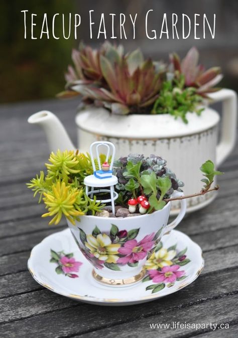 Teacup Fairy Garden -How to make the sweetest teacup fairy garden with succulents, including how to make a mini fairy-sized cupcake and book out of polymer clay. I love making any miniature fairy garden, but this teacup fairy garden might be the sweetest ever. I wanted to make my mom a sweet little gift for... Teacup Fairy Garden, Indoor Fairy Gardens, Fairy Garden Ideas, Teacup Gardens, Fairy Garden Plants, Fairy Garden Designs, Garden Ideas Cheap, Mini Fairy Garden, Tea Diy