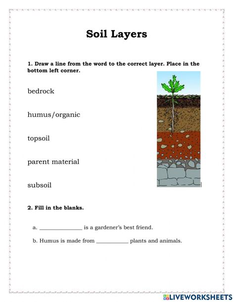 Layers Of Soil Drawing, Soil Layers Activity, Layers Of Soil Worksheet, Soil Worksheet, Soil Grade 3 Science, Layers Of Soil, Reading Pictures, State School, Soil Layers