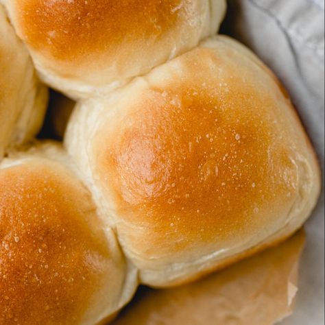 Buttermilk Dinner Rolls Buttermilk Rolls Homemade, Buttermilk Dinner Rolls, Buttermilk Rolls, Yeast Roll, Easy Yeast Rolls, Yeast Rolls Recipe, Rolls Bread, No Yeast Dinner Rolls, Cinnamon Honey Butter