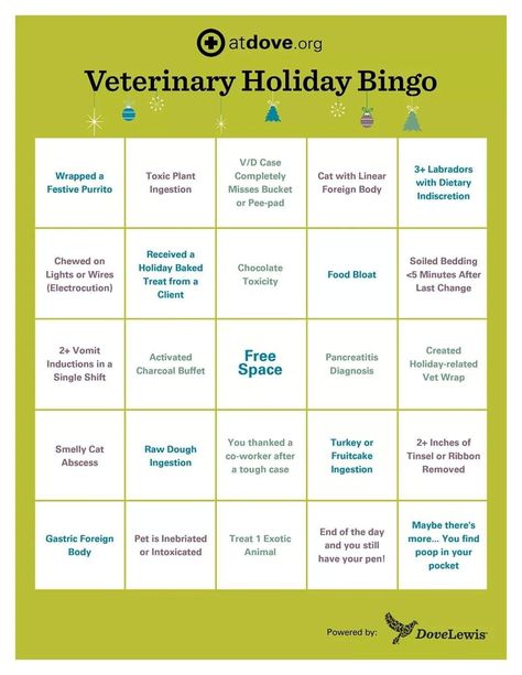 Vet Tech Games, Holiday Bingo, Tech Week, Work Fun, Gaming Tech, Vet Tech, Fun At Work, Animal Rights, Bingo