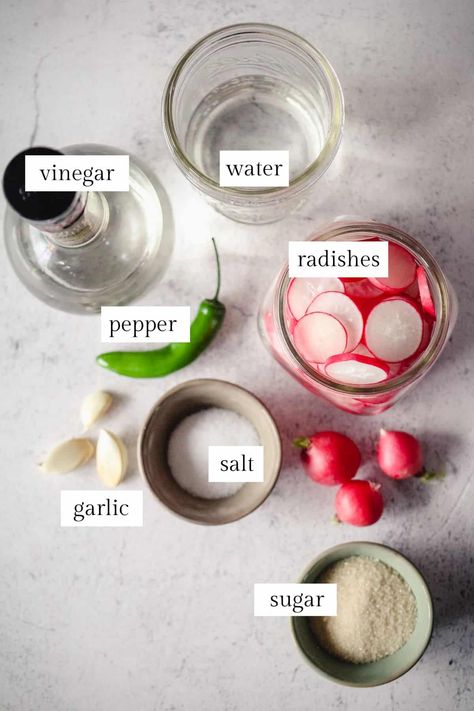 Radish Pickle Recipe, Quick Pickled Radishes, Quick Pickled Vegetables, Easy Pickle, Pickled Vegetables Recipe, Red Radish, Pickled Turnips, Fermented Pickles, Quick Pickled