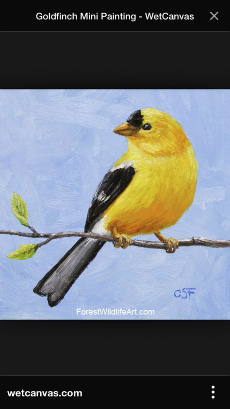 Gold Finch Painting, Birds Acrylic Painting, Goldfinch Painting, Paint Sketches, Gold Finch, Bird Painting Acrylic, American Goldfinch, Bird Painting, Bird Artwork