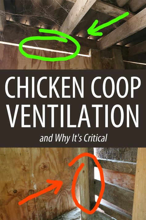 Chicken Coop Ventilation, Coop Ventilation, Chickens Coop, Chicken Perches, Coop Run, Chicken Shed, Chicken Coup, Backyard Chicken Coop Plans, Diy Chicken Coop Plans