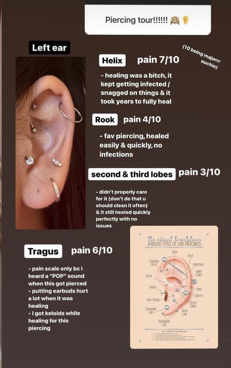 Eat Piercings Chart Names, Ear Piercings Labeled, Ear Piercing Pain Scale, Ear Piercings Pain Level Chart, Ear Piercing Pain Chart, Ear Piercing Chart Pain, Most Painful Ear Piercings Chart, Piercing Pain Chart, Ear Piercing Diagram