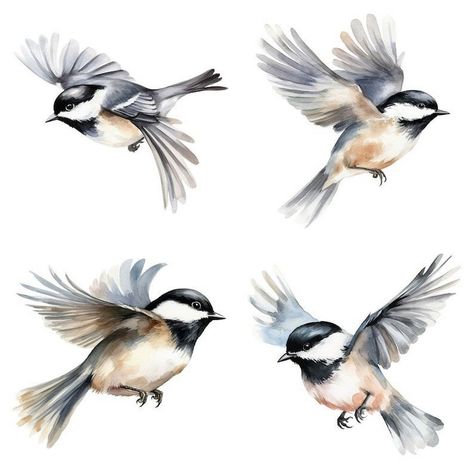 Safari Snapshot: Illustrated Clipart Animal Showcase Chickadee Illustration, Animal Sketches Easy, Birds Clipart, Chickadee Bird, Bird Clipart, Watercolor Cute, Water Colours, Creating Artwork, Animal Sketches