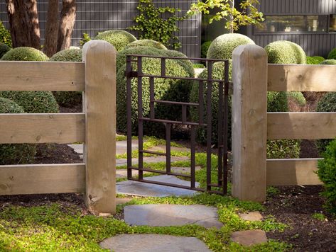 A native ground cover, Myoporum parvifolium (also known as creeping boobialla) grows between the pavers. Creeping Boobialla, English Fence, Myoporum Parvifolium, Garden Path Design, Black Garden Fence, Garden Fence Paint, Australia Garden, Rustic Garden Fence, Metal Garden Fencing