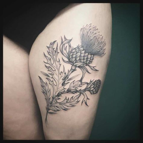 Milk Thistle Tattoo, Thistle Tattoos, Tattoo Ideas 2022, Pentacle Tattoo, Scottish Tattoo, Scottish Tattoos, Luna Tattoo, Thistle Tattoo, Clover Tattoos